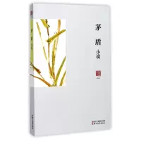音像茅盾小说/名家小说典藏茅盾