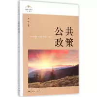 音像公共政策罗峰 主编