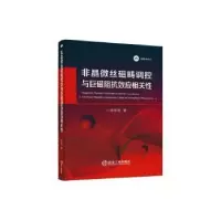 音像非晶微丝磁畴调控与巨磁阻抗效应相关陈东明著