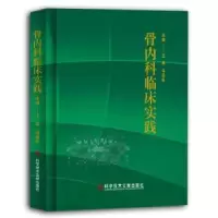 音像骨内科临床实践王亮,马远征主编