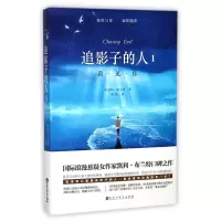 音像追影子的人(1看见你)(美)凯利·布兰特|译者:陈磊