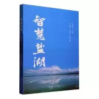 音像智慧盐湖张卫华主编