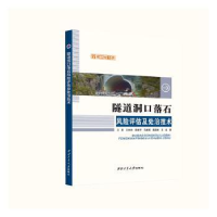 音像隧道洞口落石风险评估及处治技术王星[等]著