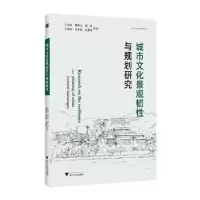 音像城市文化景观韧与规划研究王纪武[等]著