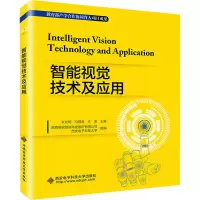 音像智能视觉技术及应用朱光明著