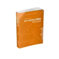 音像少年司法核心原则的研究与实践王亮著