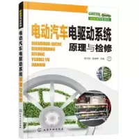 音像电动汽车电驱动系统原理与检修杨光明,姜琳晖主编