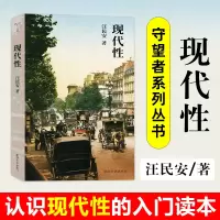 音像现代汪民安