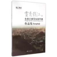 音像灵秀镇江杨雷