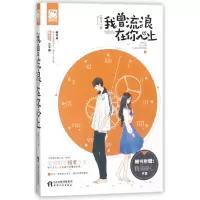 音像我曾流浪在你心上锦年