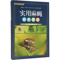 音像实用麻蝇彩色图鉴岳巧云 主编