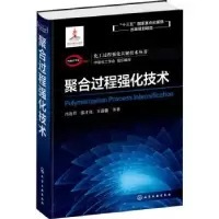 音像聚合过程强化技术冯连芳,张才亮,王嘉骏等著
