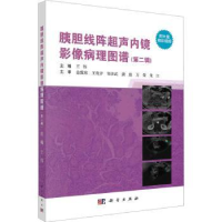 音像胰胆线阵超声内镜影像病理图谱:第二辑王伟主编