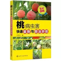 音像桃病虫害快速鉴别与防治妙招(全彩图解)王天元编