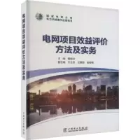 音像电网项目效益评价方法及实务董朝武主编
