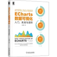 音像ECharts数据可视化 入门、实战与进阶王大伟