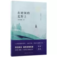 音像在时间的荒野上青衫落拓