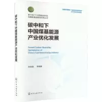 音像碳中和下中国煤基能源产业优化发展林伯强等编著