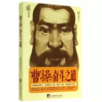 音像曹操奋斗之道唐文立