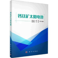 音像钙钛矿太阳电池刘生忠等编著
