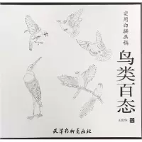 音像鸟类百态(实用白描画稿)绘画:王庆华