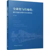 音像全球化与在地化:城市更新语境中的水岸丁凡著