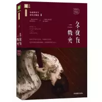 音像冬夜有微光(告白的书)亚未