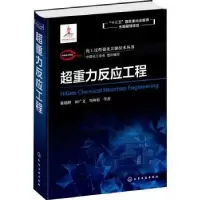 音像超重力反应工程陈建峰,初广文,邹海魁等著