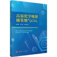 音像高温化学吸附捕集烟气CO2秦昌雷,何东霖,冉景煜著