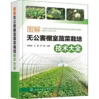 音像图解无公害棚室蔬菜栽培技术大全郭晓雷,王鑫,李颖主编