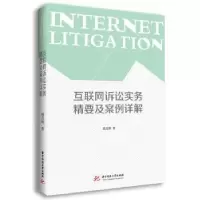 音像互联网诉讼实务精要及案例详解姚克枫著