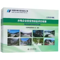 音像水电企业安全综合评价标准(2018年版共8册)编者:王辉