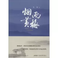音像烟雨黄梅孔阳 著