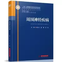 音像周围神经疾病张文川,张黎,刘松主编