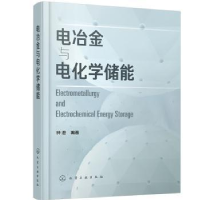 音像电冶金与电化学储能钟澄编著