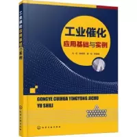 音像工业催化应用基础与实例马晶,薛娟琴,褚佳等编著