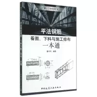 音像平法钢筋看图下料与施工排布一本通/跟一丁老师学平法唐才均