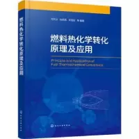音像燃料热化学转化原理及应用邓文义,田凤国,苏亚欣等编著