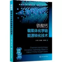 音像铁酸钙载氧体化学链能源转化技术孙朝,孙志强,向文国著