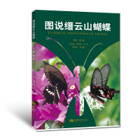 音像图说缙云山蝴蝶傅礁