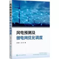 音像风电预测及微电网优化调度孙驷洲,孟樱著