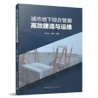 音像城市地下综合管廊高效建造与运维冯大阔,王清山编著