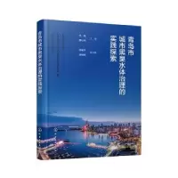 音像青岛市城市黑臭水体治理的实践探索王磊,国小伟主编