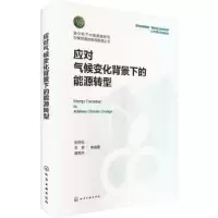 音像应对气候变化背景下的能源转型张继宏,李锴,谭秀杰等编著
