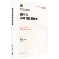 音像碳中和与中国能源转型陈诗一,李志青,胡时霖编著