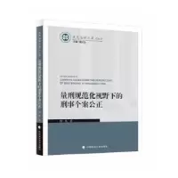 音像量刑规范化视野下的刑事个案公正倪震著