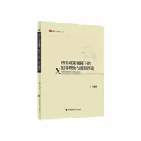 音像刑事政策视阈下的犯罪理论与刑罚理论单佳著