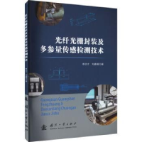 音像光纤光栅封装及多参量传感检测技术李洪才,刘春桐著