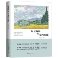 音像民法解释与裁判思维李超著
