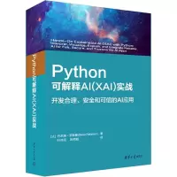 音像Python可解释AI(XAI)实战(法)丹尼斯·罗斯曼